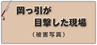 岡っ引が目撃した現場