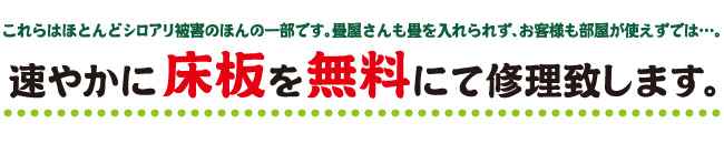 速やかに床板を無料にて修理いたします。